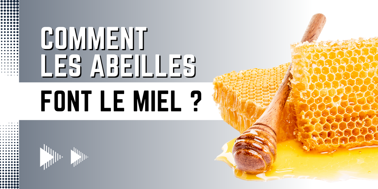 Comment les abeilles font le miel ?