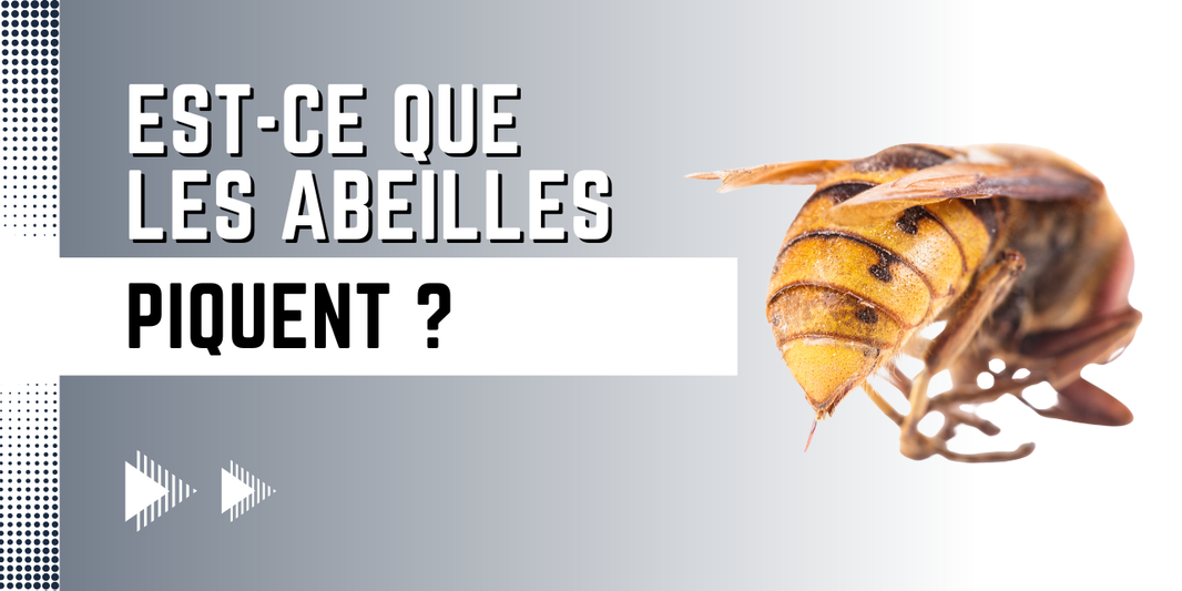 Est-ce que les abeilles piquent ?