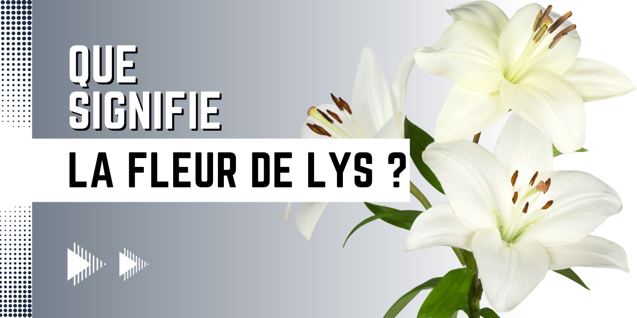 Que signifie la fleur de lys ?
