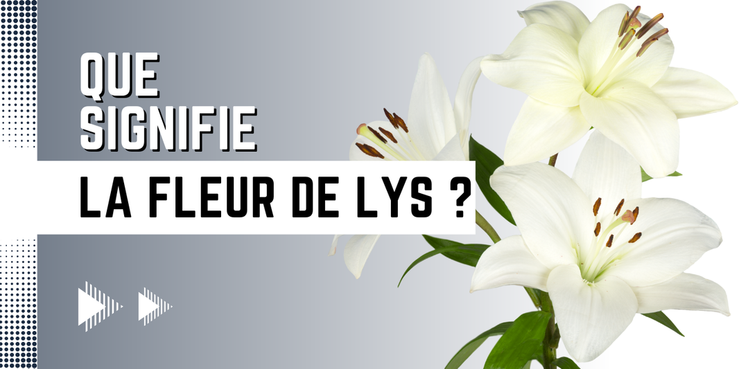 Que signifie la fleur de lys ?