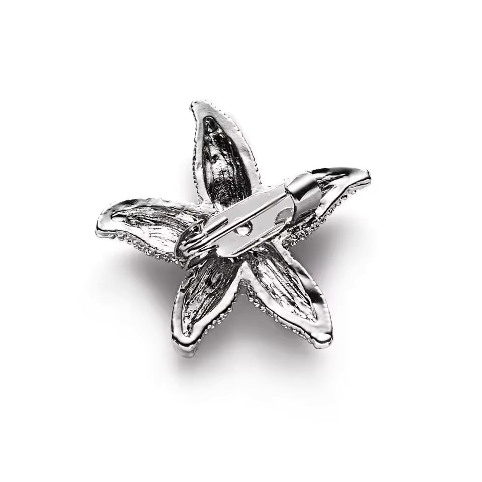 Broche étoile de mer de dos